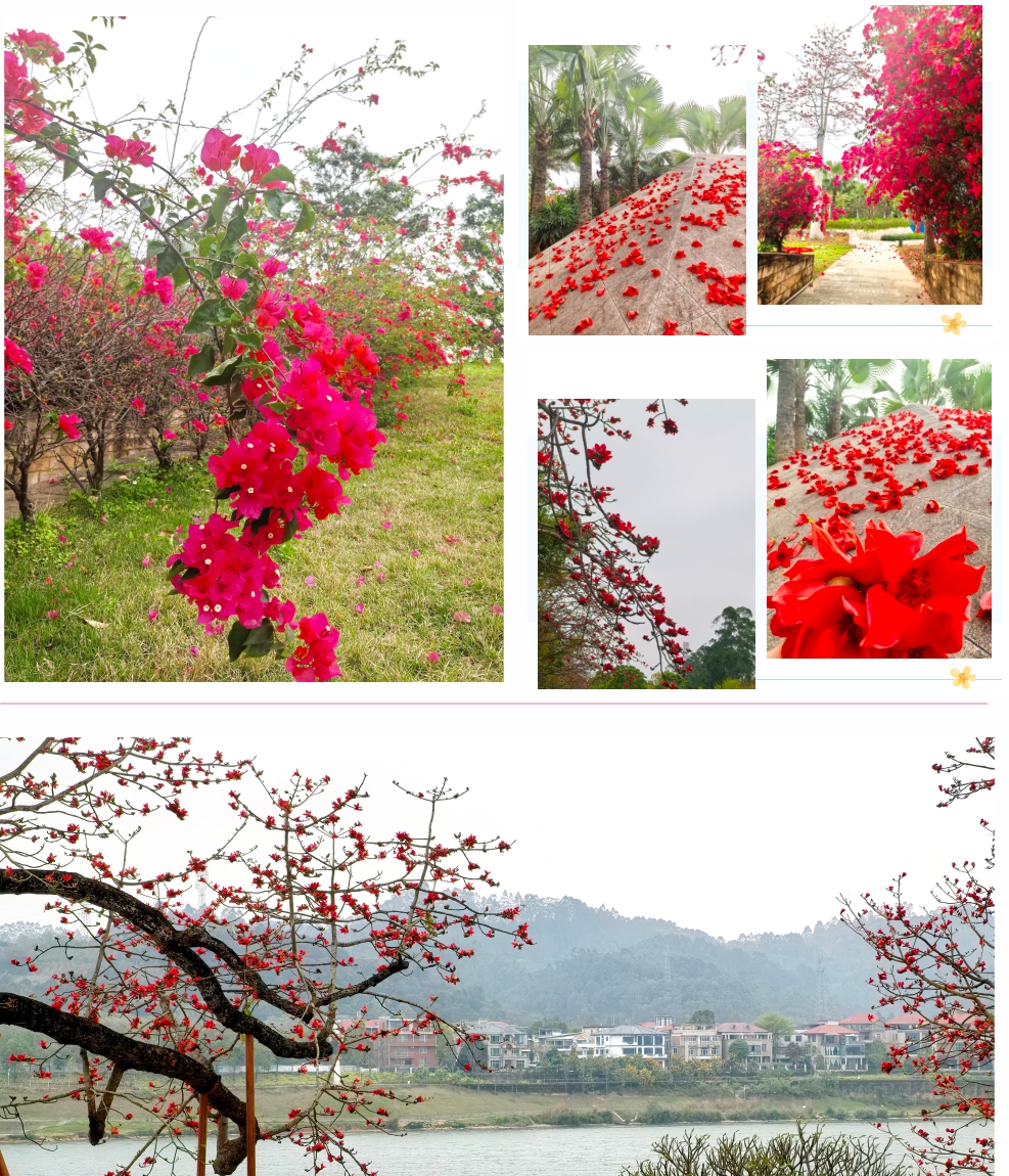 未命名 -1.jpg